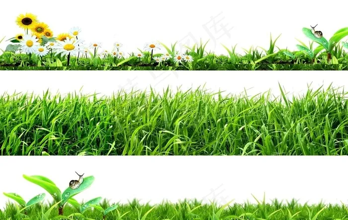 小草图片(3543x4724)psd模版下载