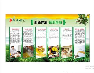 榨油坊展板 油茶 知识宣传图片