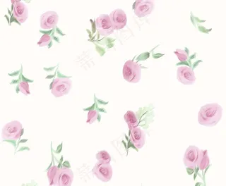 水彩玫瑰图片