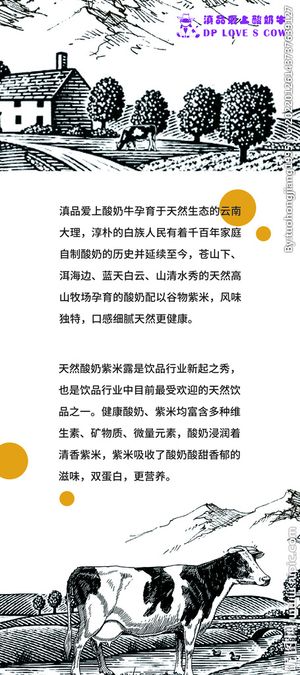 奶牛海报图片