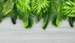 树叶 绿叶 芭蕉叶 背景墙图片