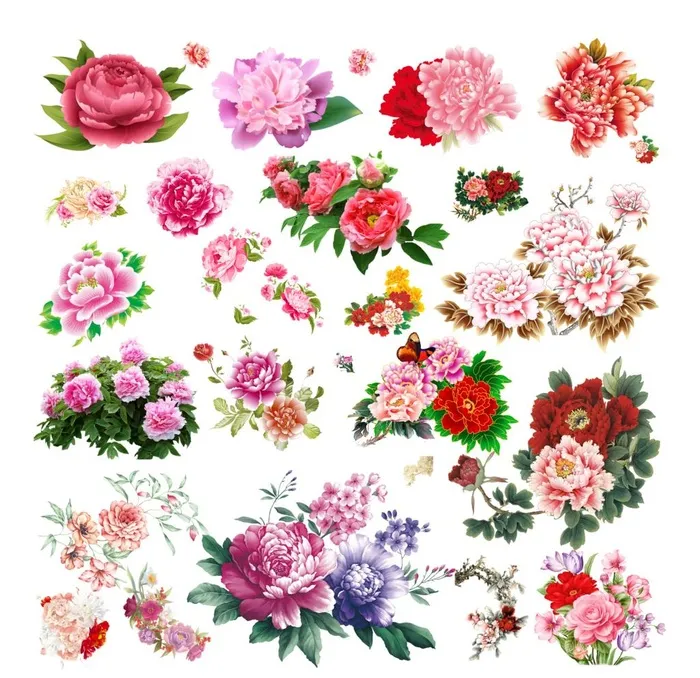 牡丹花图片(5805x5805)psd模版下载