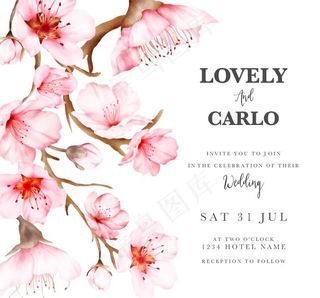 春天花卉 桃花 踏青图片