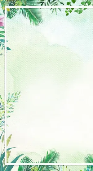 小清新背景图片