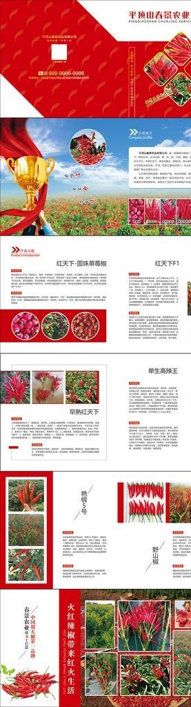 简约红色辣椒农业画册图片