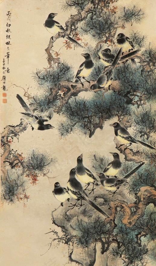 八百遐龄图片