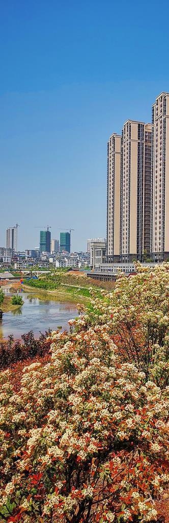 城市建筑图片