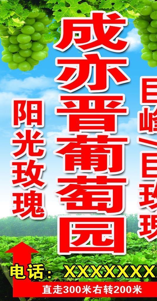 葡萄采摘园图片(1134x 1701)psd模版下载