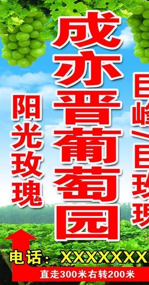 葡萄采摘园图片