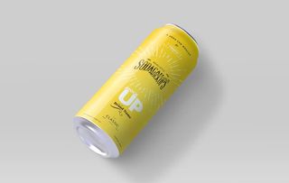 易拉罐样机图片