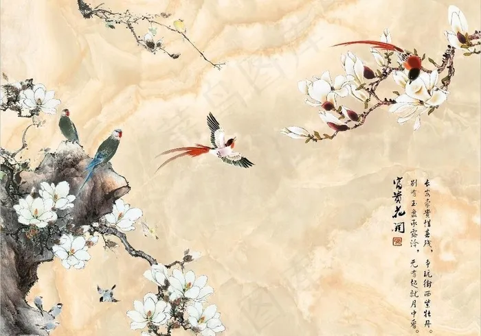 富贵花开图片