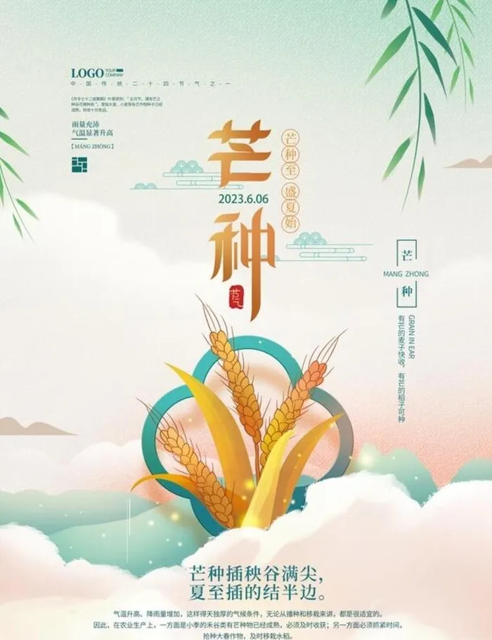 芒种海报图片