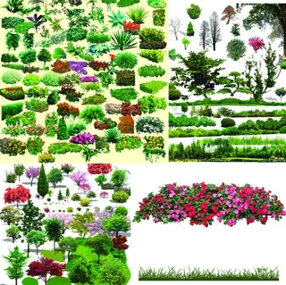 花草树木PSD分层图片