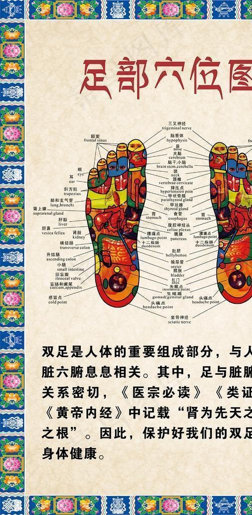 足部穴位图图片ai矢量模版下载