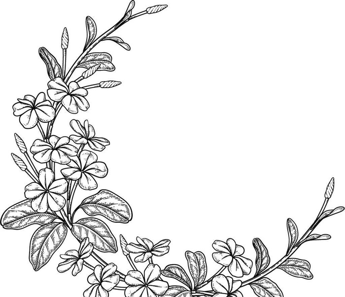 花轮廓图片