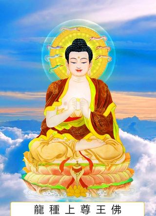 八十八佛,88佛,龙种上尊王佛,三十四佛,3
