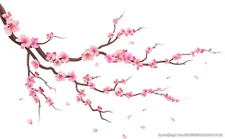 梅花矢量图图片