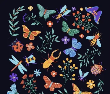 昆虫图片 昆虫图片