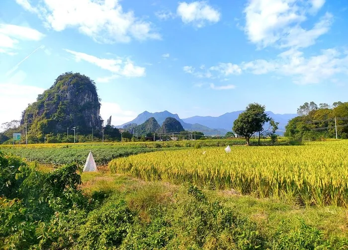 阳光美丽乡村图片