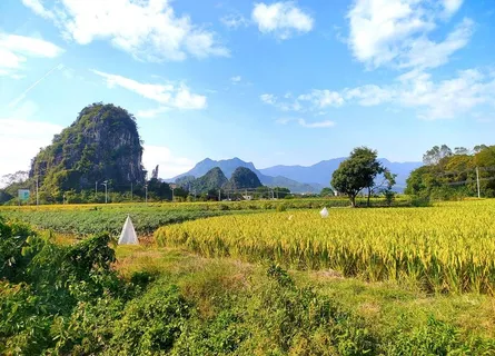 阳光美丽乡村图片