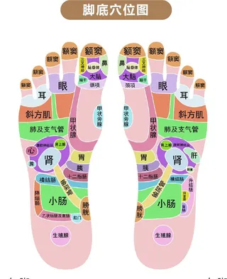 脚底穴位图图片