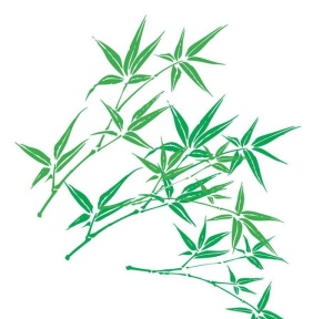 翠竹图片