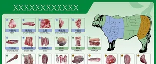 牛分解图图片
