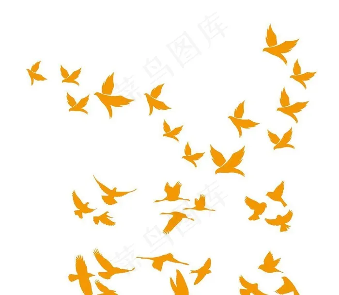 多种鸟矢量图图片ai矢量模版下载