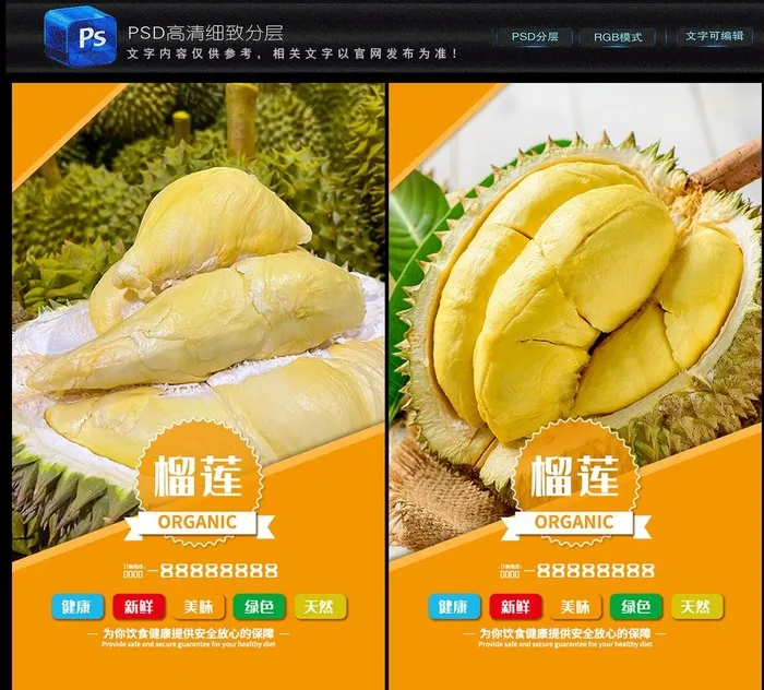 榴莲图片(3543x5906)psd模版下载