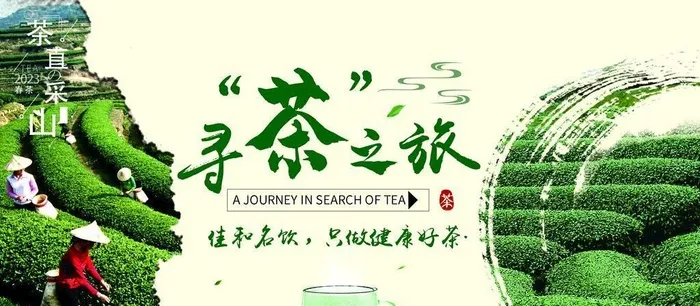 寻茶图片(3543x1890)psd模版下载