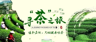 寻茶图片