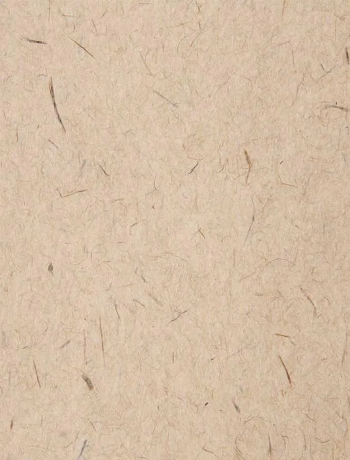 宣纸底纹图片(3545x5315)psd模版下载