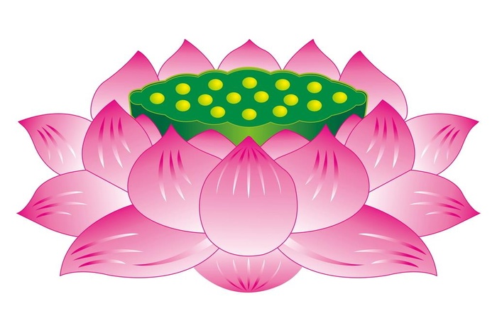 莲花图片(7075x4717)psd模版下载