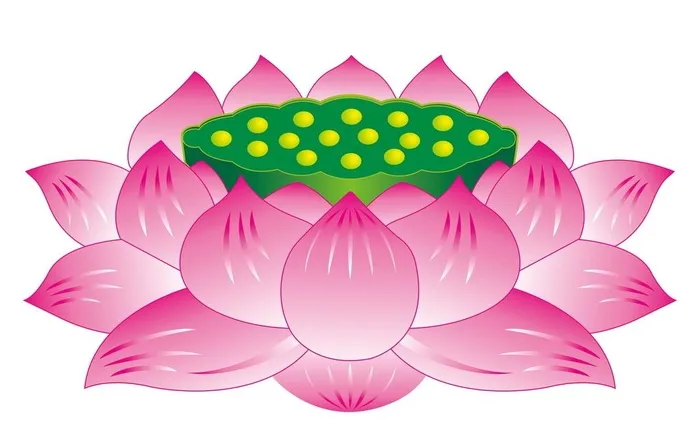 莲花图片(7075x4717)psd模版下载