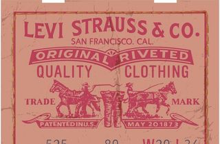 李维斯图标图片