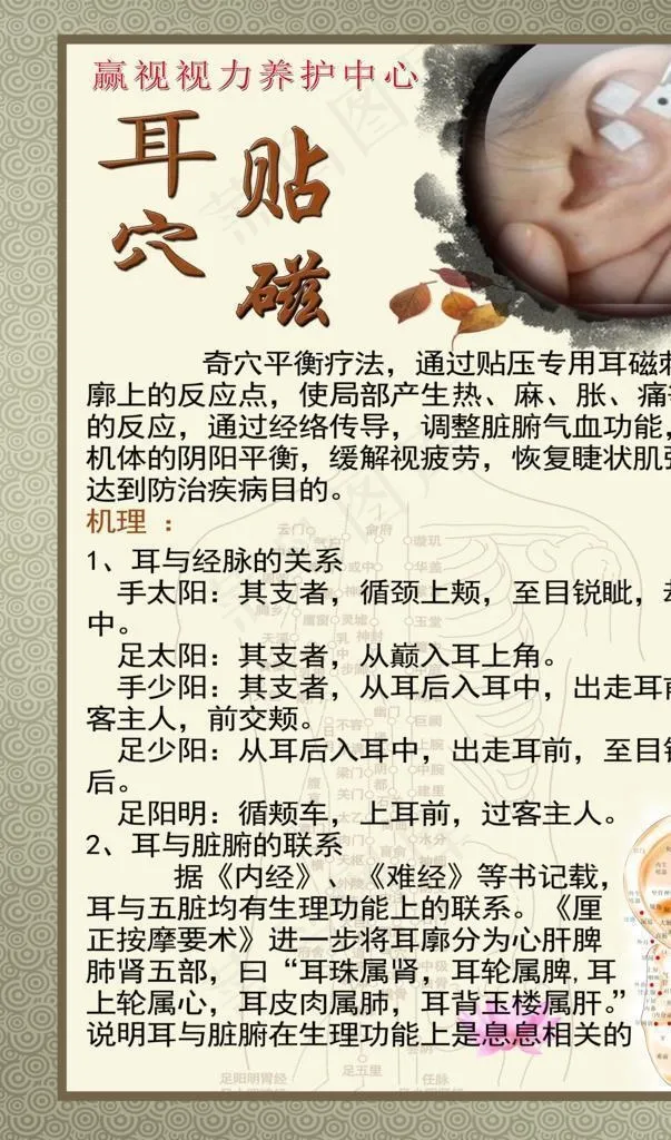耳穴贴磁图片(4724x6299)psd模版下载