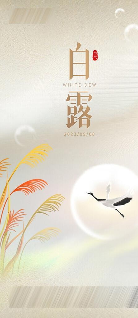 白露海报图片(1024x2048)psd模版下载
