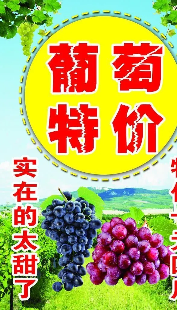 葡萄海报图片(2268x3402)psd模版下载
