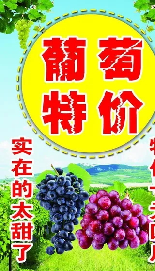 葡萄海报图片