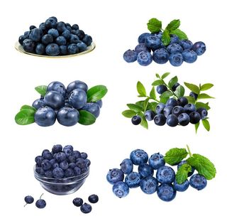 蓝莓图片