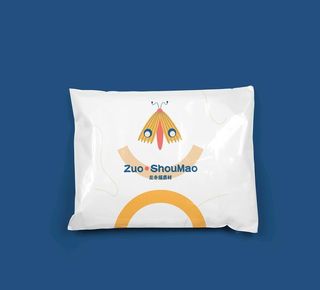 快递袋样机图片