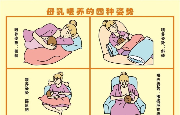 母乳喂养姿势图片cdr矢量模版下载