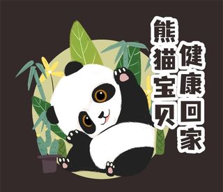 熊猫宝贝 丫丫图片