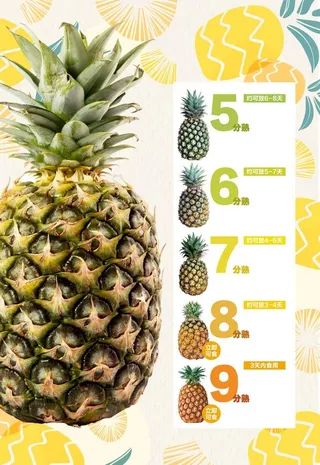 凤梨成熟度图片