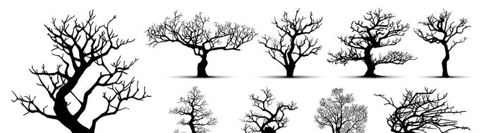 矢量枯树剪影图片