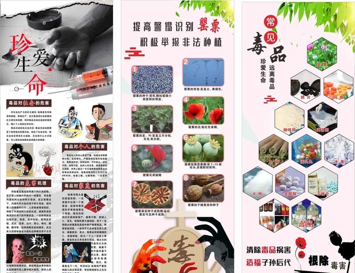 禁毒易拉宝图片cdr矢量模版下载