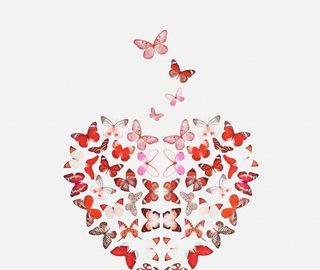 手绘卡通蝴蝶装饰画图片