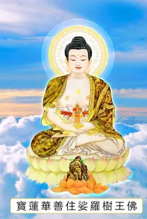 八十八佛,宝莲华善住,娑罗树王佛,