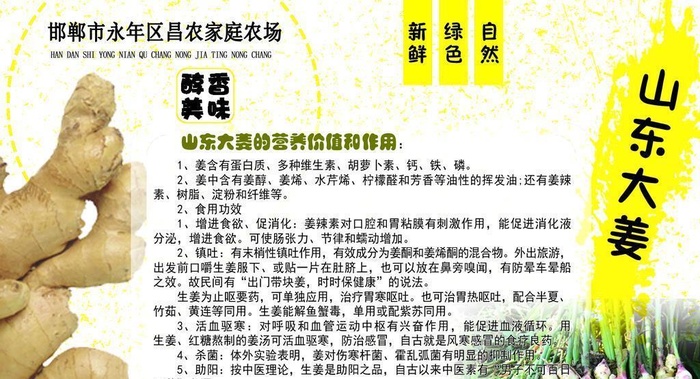 蔬菜介绍图片(1701x1134)psd模版下载