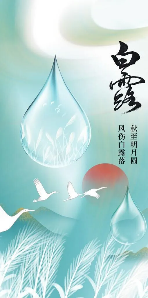 白露传统节气海报图片(1242x2208)psd模版下载